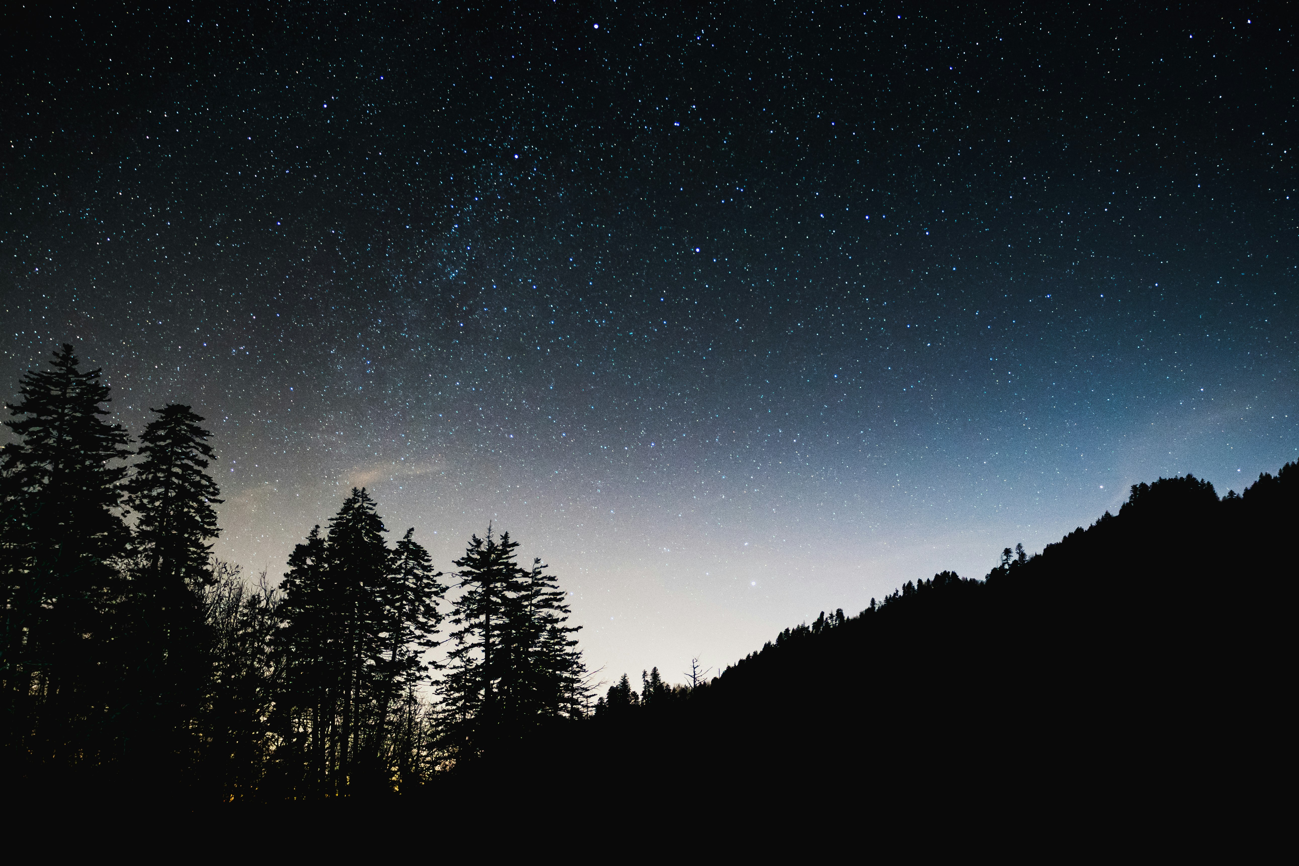 silhouette photography of trees and mountain under starry sky